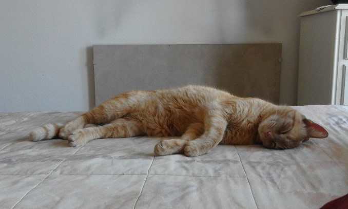 garfield_photo_older